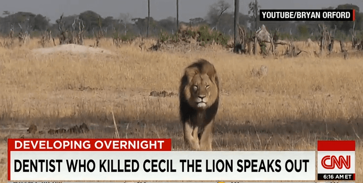 dentist-who-killed-cecil-the-lion-speaks-out